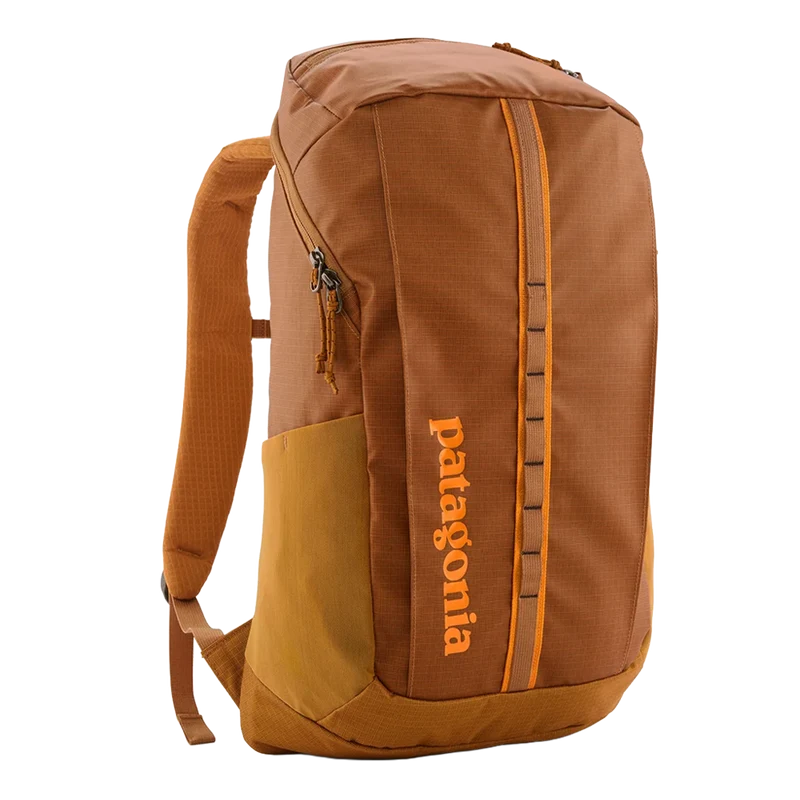 Patagonia Black Hole Pack 25L
