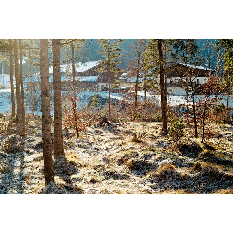 Film Couleur UltraMax 400 (35mm, 24 Poses)