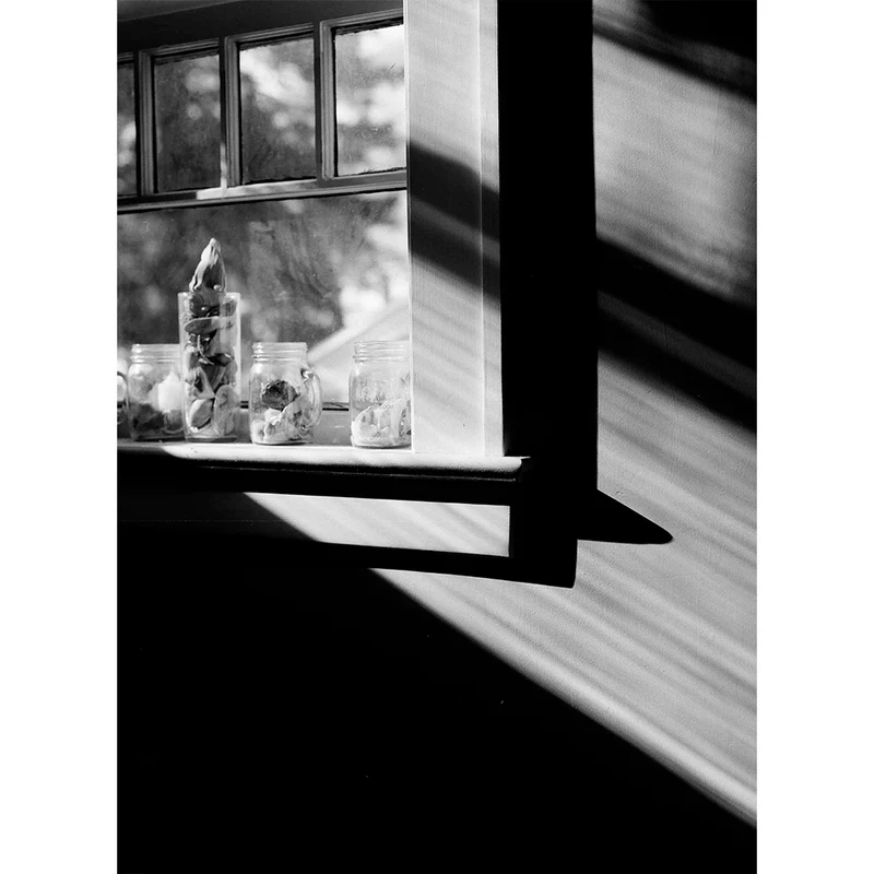 Film Noir et Blanc Ektapan 100 (4x5/10 Feuilles)