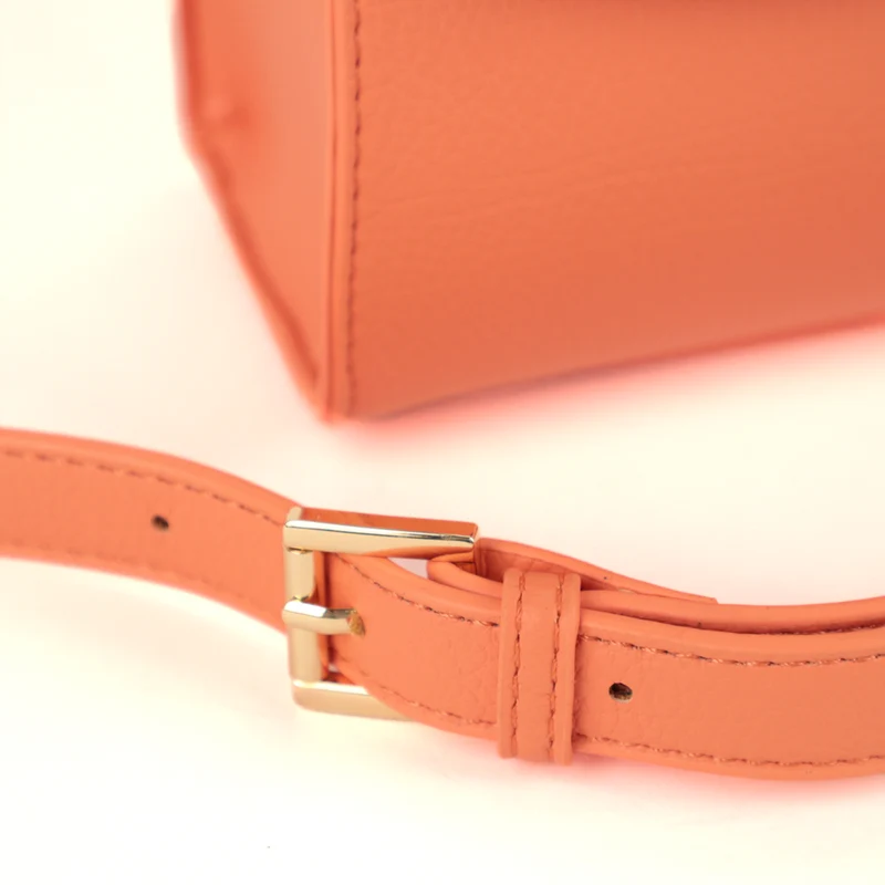 Riona Luna Mini Handbag