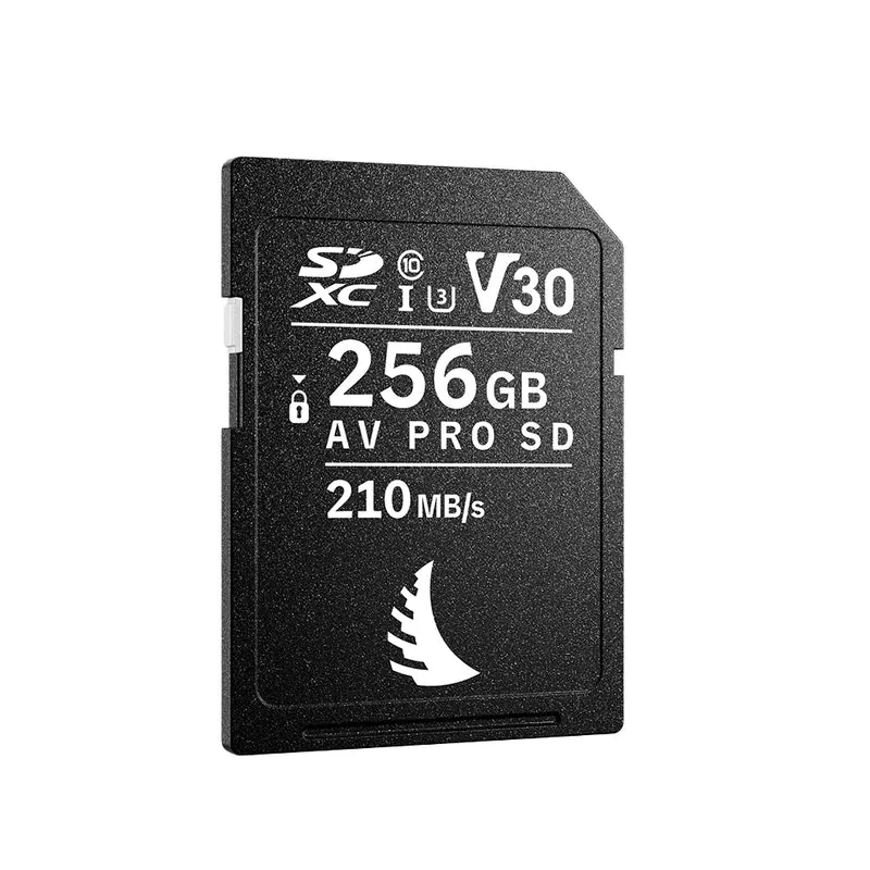 Carte Mémoire SDXC AV Pro MK2 UHS-I V30 256GB