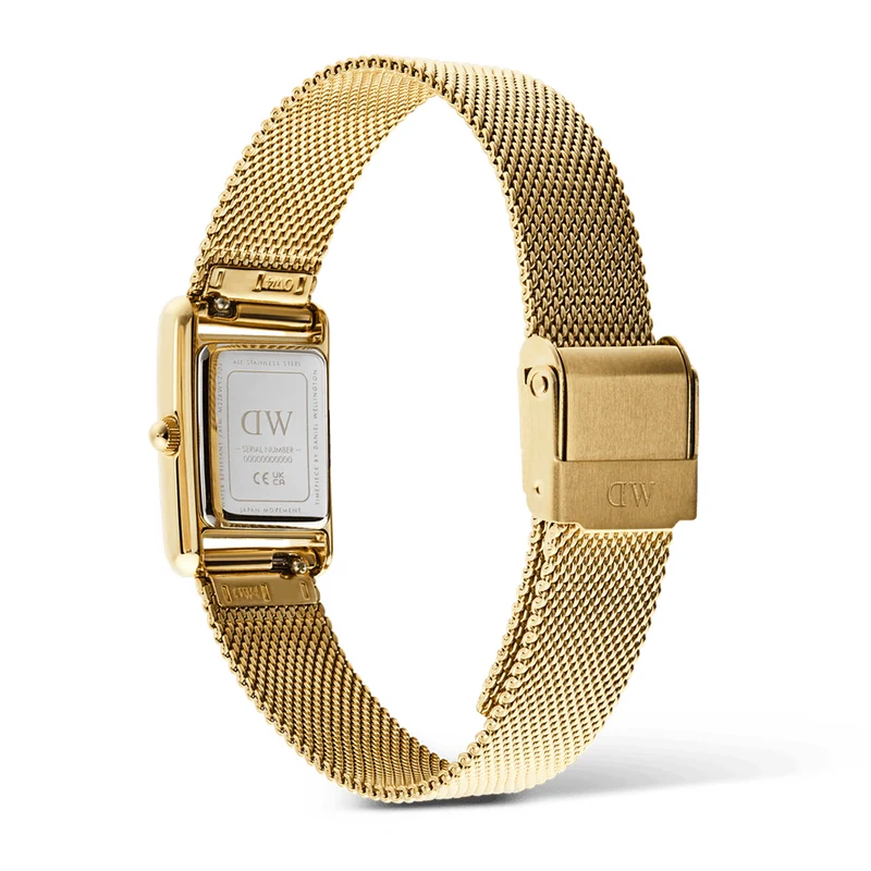 Daniel Wellington Bound Mini Evergold Blanc Montre Femme DW00100928