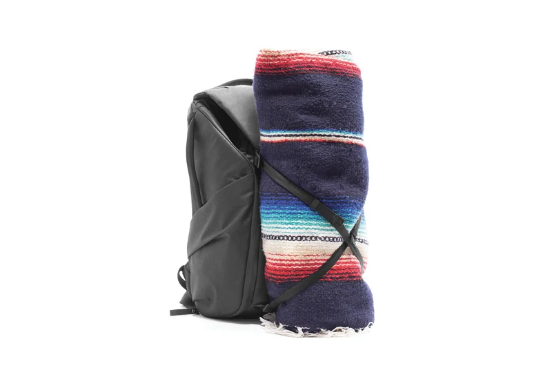 Sac à dos Everyday 20L V2 (Noir)