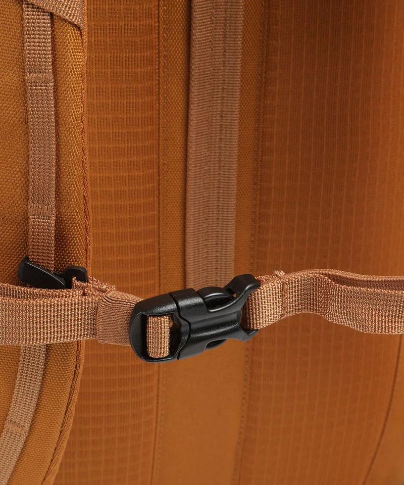 Patagonia Black Hole 25 Sac à dos cinnamon brown