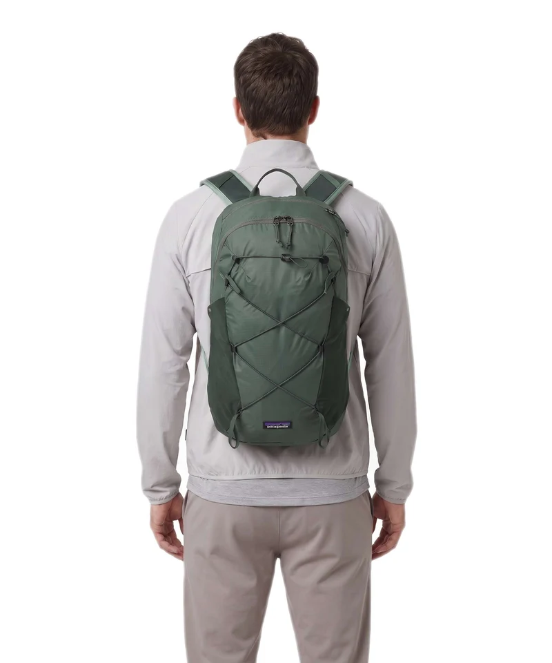 Patagonia Terravia 14 M Sac à dos canopy green