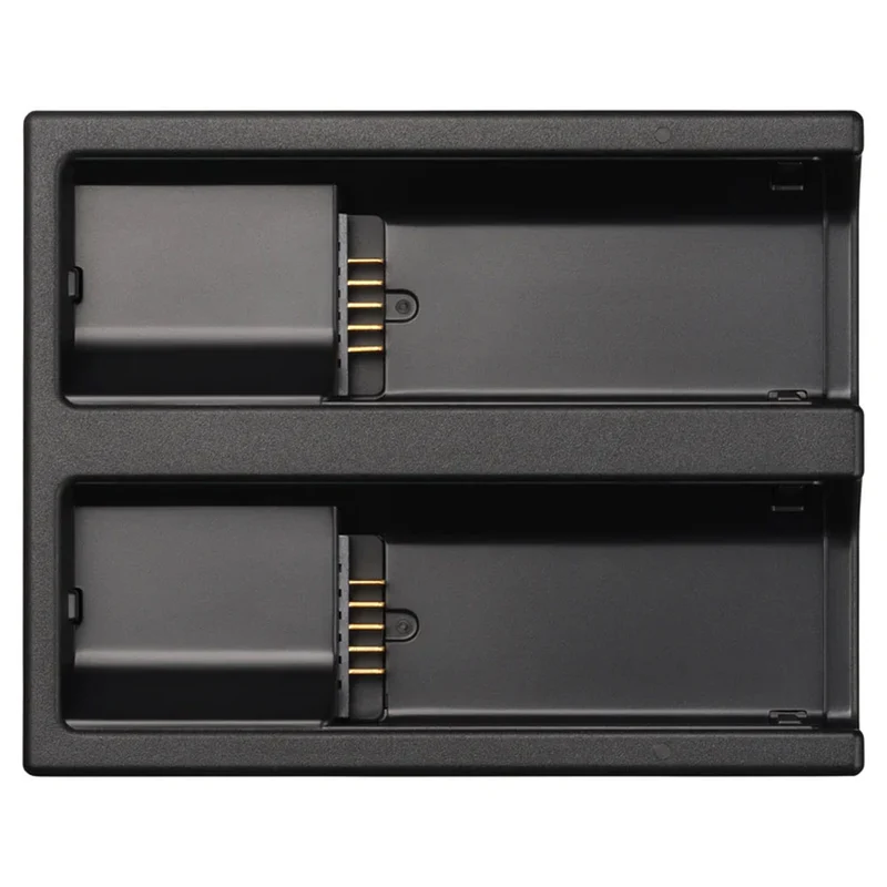 Chargeur BC-81 pour Sigma BF