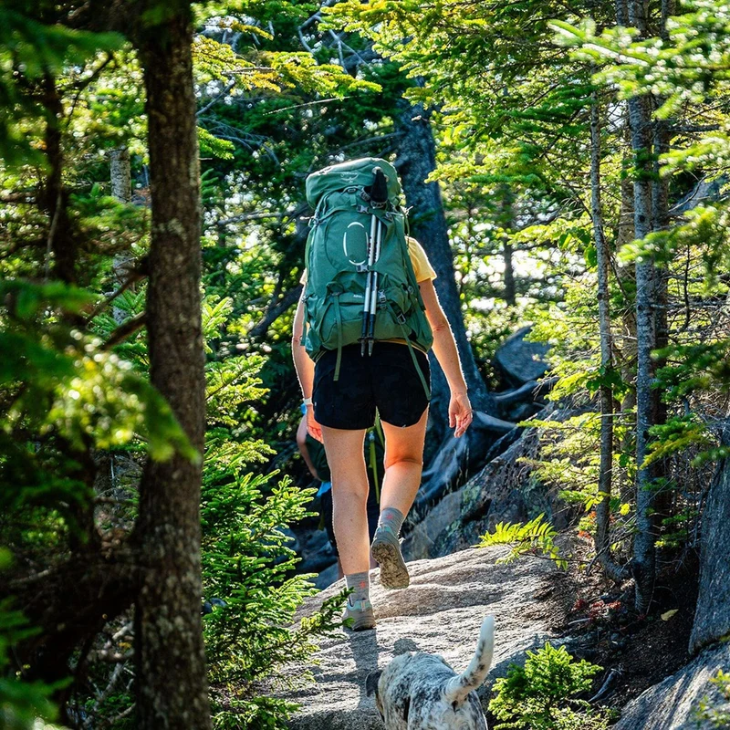 Osprey Ariel 55L