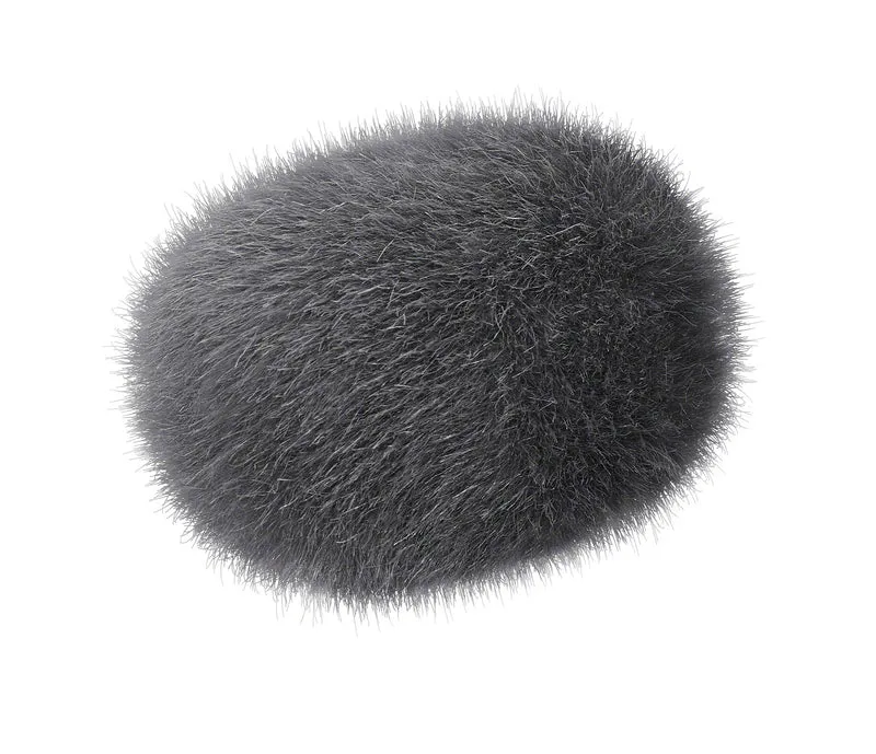Microphone Vlog micro-canon ECM-G1