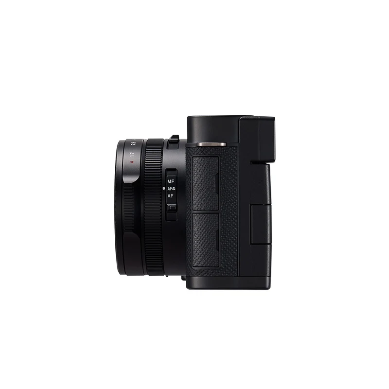 Lumix L10