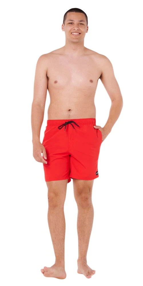 AZ Mens Volley 17" Boardshorts