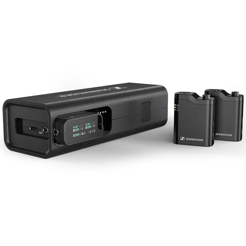 Système de Microphone Sans-Fil Profile Wireless