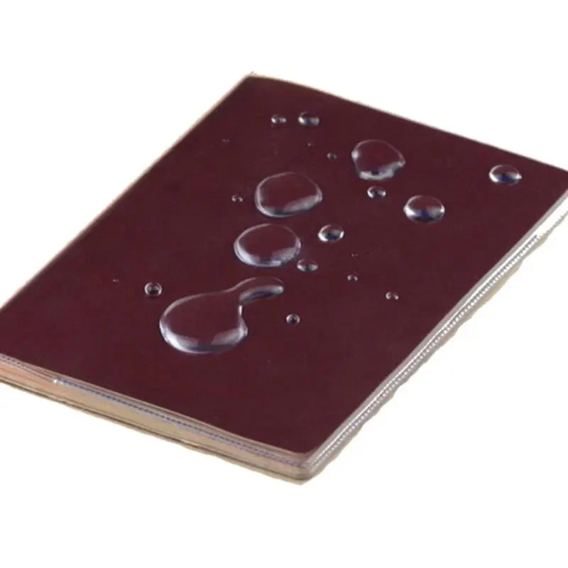 Protège-Passeport Transparent | Pvc Imperméable et Pratique