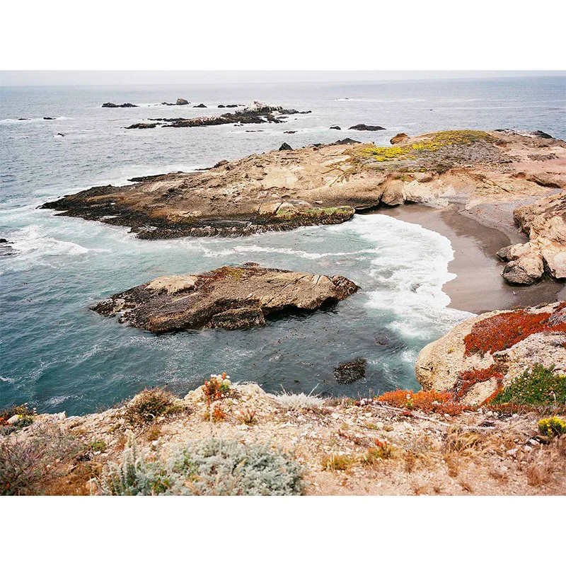Film Couleur Ektacolor Pro 160 (Rouleau 120/Paquet de 5)