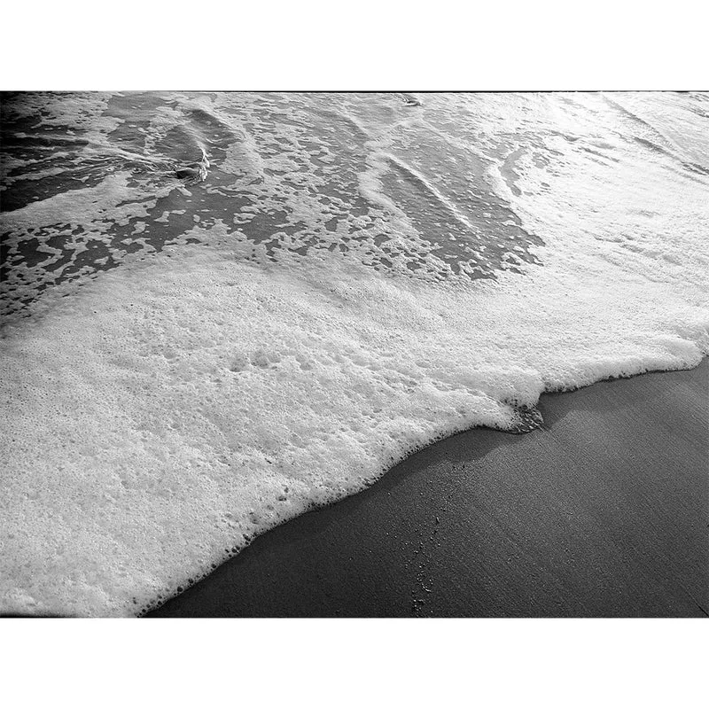 Film Noir et Blanc Pro Tri-X 320 (35mm/100pi)