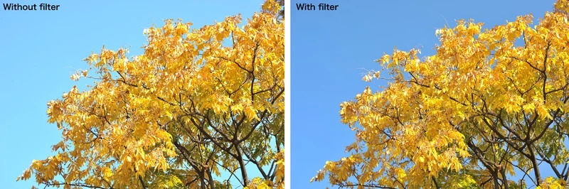 Filtre Polarisant Ciculaire REALPRO MC 43mm