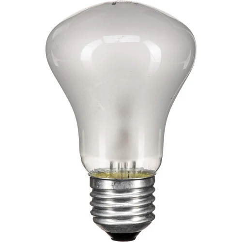 Ampoule de Modélisation 100w/90v pour D-Lite RX, BRX