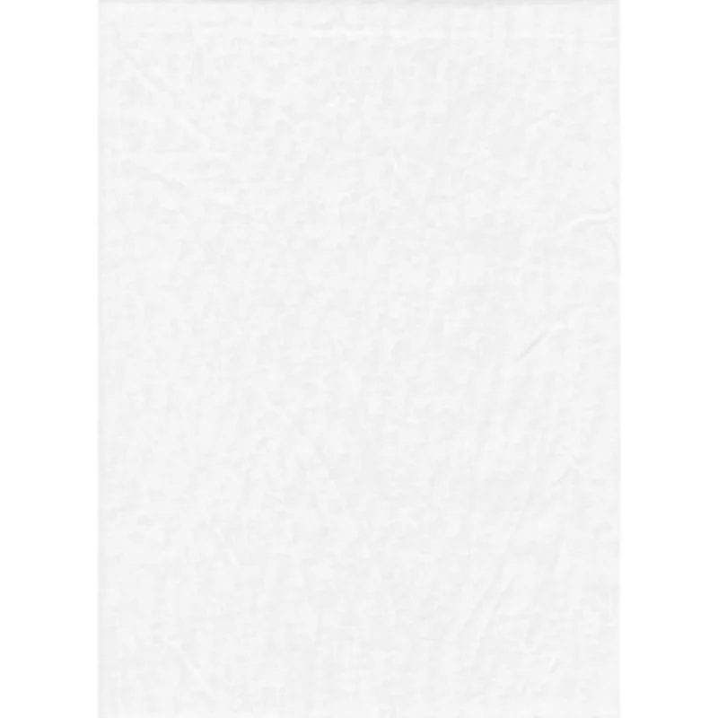 Toile de fond couleur unie 10 x 20pi (Blanc)