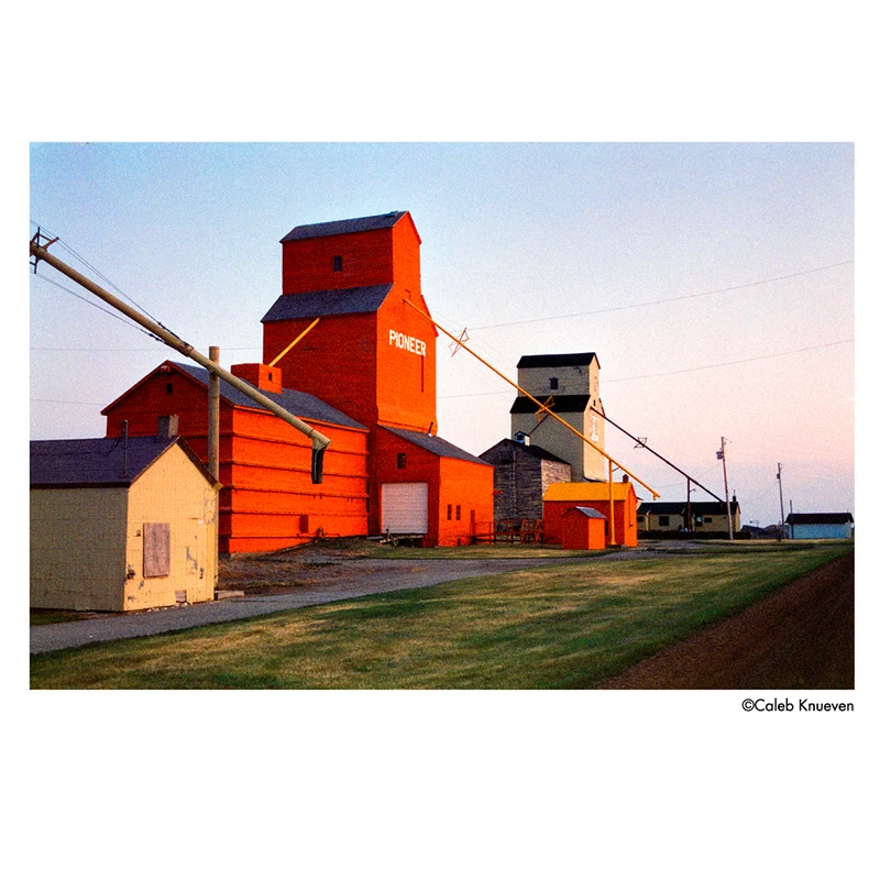 Film Couleur Phoenix II (Rouleau 120)