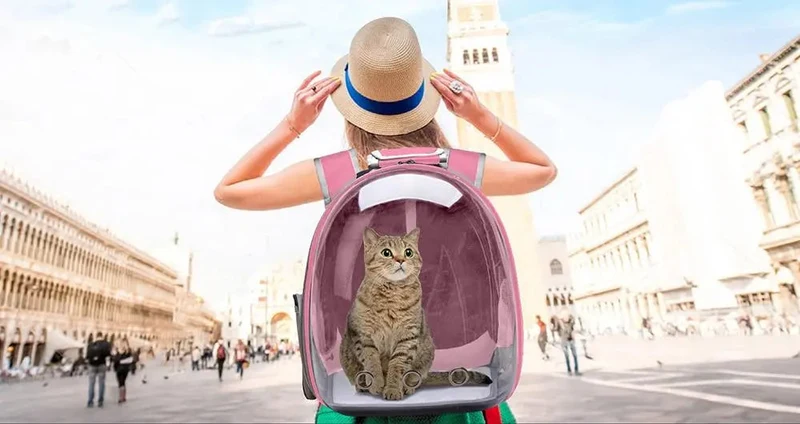 Sac de Transport Chat Bulle | Vue Panoramique Transparente