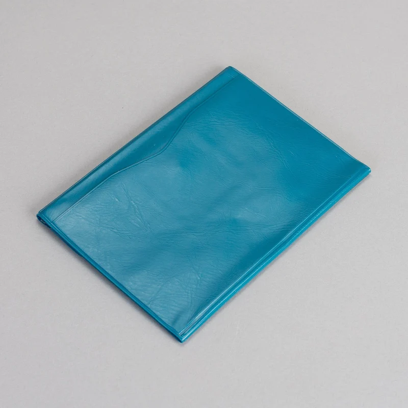 Travel Organizer