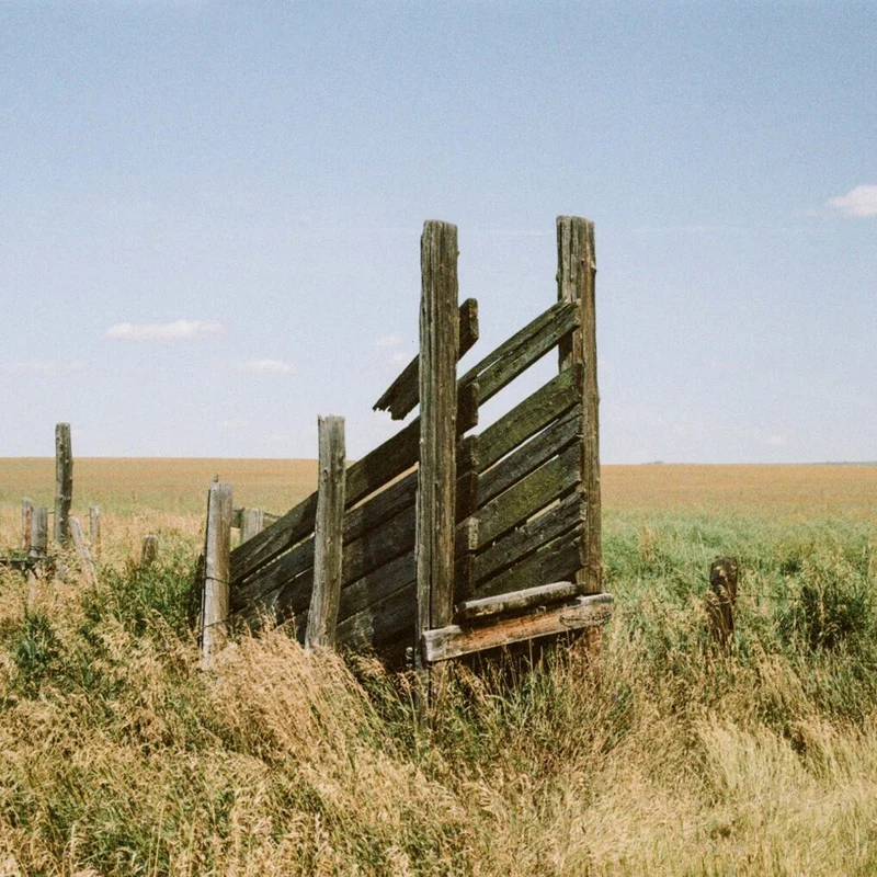 Film Couleur Nostalgic 400 (35mm/36 poses)