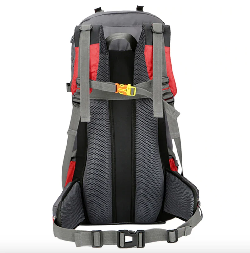 Sac à Dos Trekking 60l Léger | Sangles Ergonomiques et Imperméabilité