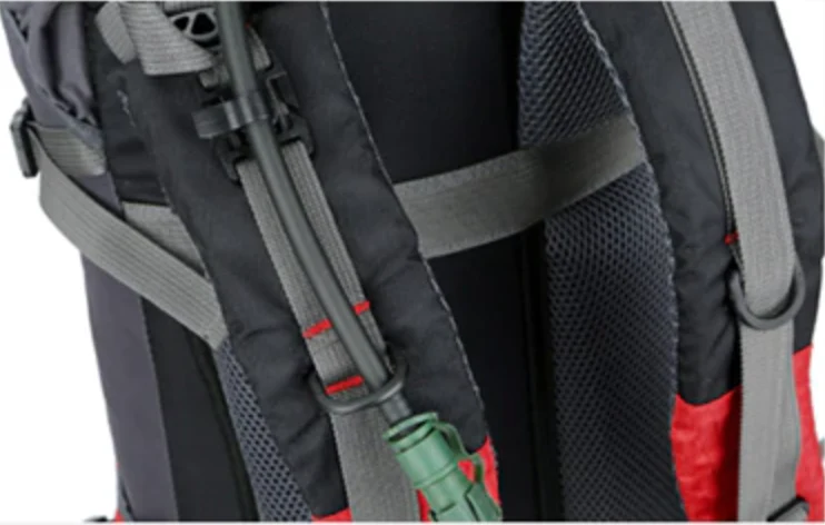 Sac à Dos Trekking 60l Léger | Sangles Ergonomiques et Imperméabilité