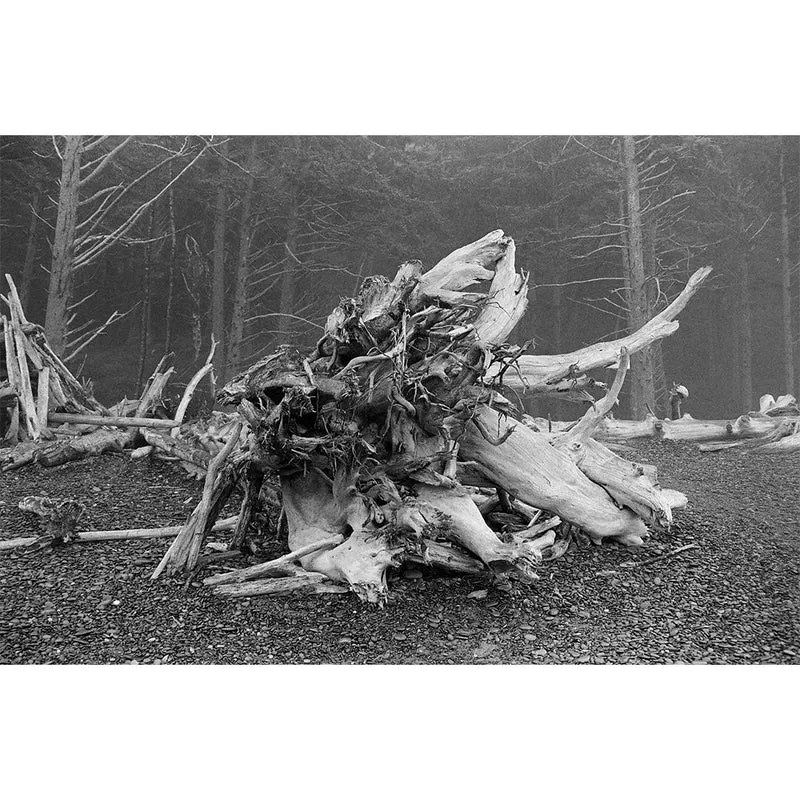 Film Noir et Blanc Ektapan 400 (4x5/10 Feuilles)