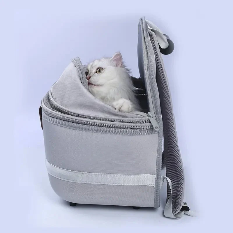 Sac à Dos Chat Voyage | Aération Filet Polyester