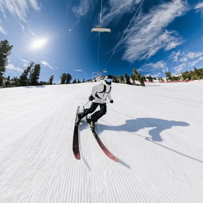 Fixation pour perches télescopiques sur bâton de ski