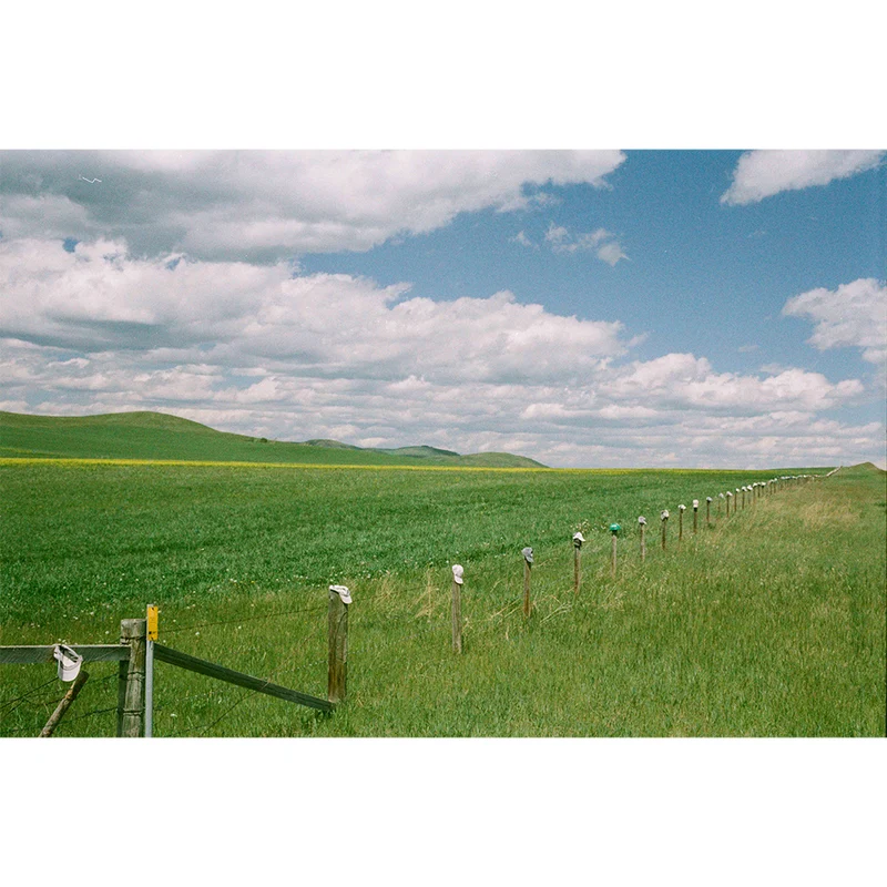 Film Couleur Fusion 200 (35mm/36 poses)